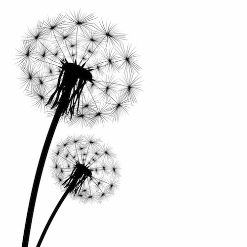 Dandelion Tattoo Meaning Tattoos With Meaning