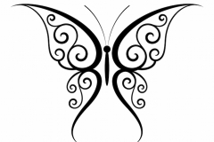 Butterfly Tattoo