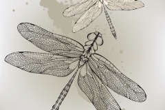 Dragonfly Tattoo