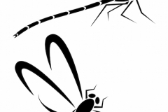 Dragonfly Tattoo