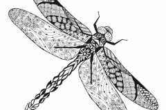 Dragonfly Tattoo