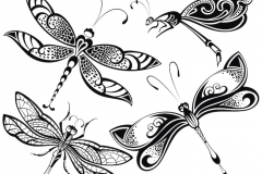 Dragonfly Tattoo