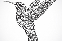 Hummingbird Tattoo