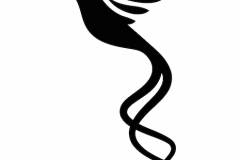 Hummingbird Tattoo