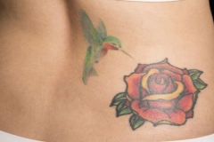 Hummingbird Tattoo