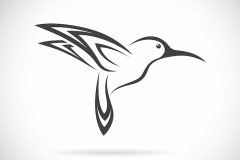 Hummingbird Tattoo