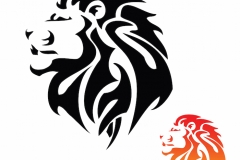 Lion Tattoo