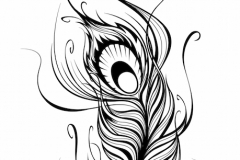 Peacock Feather Tattoo