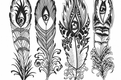 Peacock Feather Tattoo