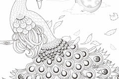 Peacock Feather Tattoo