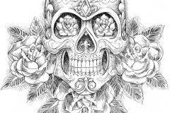 Skull