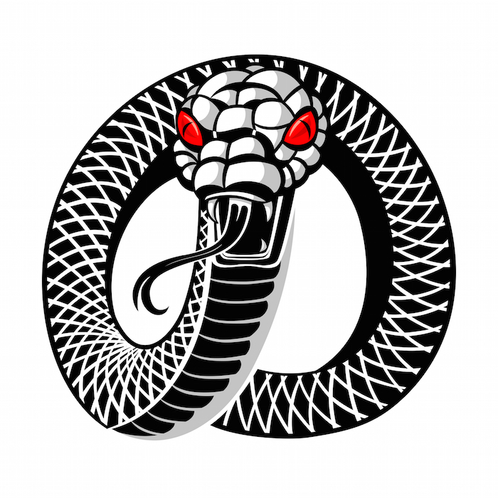 Snake Tattoo Meaning.