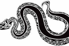 Snake Tattoo