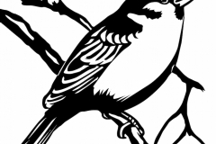 Sparrow Tattoo