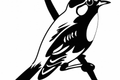 Sparrow Tattoo