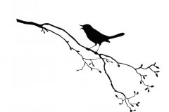 Sparrow Tattoo