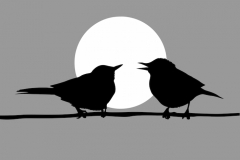 Sparrow Tattoo