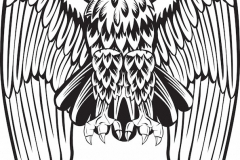 Eagle Tattoo