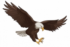 Eagle Tattoo