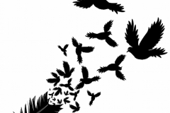 Feather Tattoo