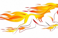 Horse Tattoo
