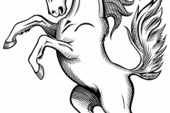 Horse Tattoo
