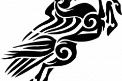 Horse Tattoo