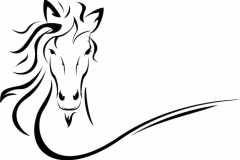 Horse Tattoo