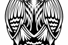 Owl Tattoo