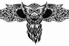 Owl Tattoo