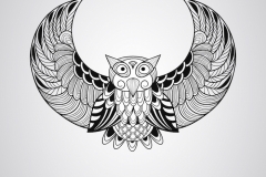 Owl Tattoo