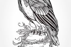 Owl Tattoo