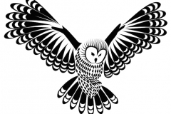 Owl Tattoo