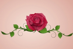 Rose Tattoo