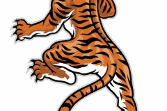 Tiger Tattoo